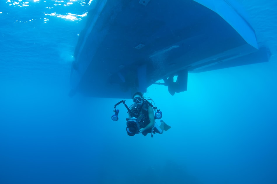The Importance of Marine Conservation