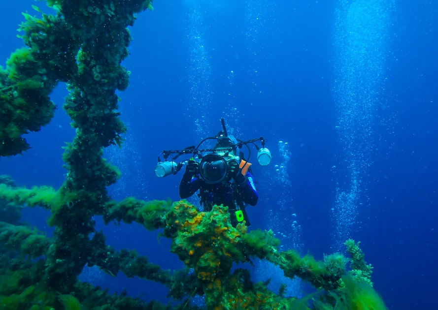 Top Scuba Diving Courses for Beginners